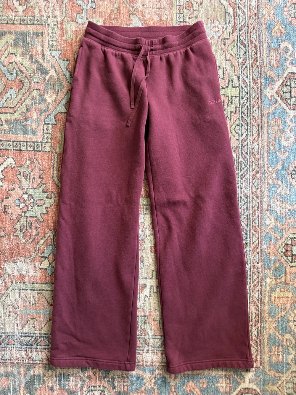 Aritzia Men's Wine Drawstring Sweatpants